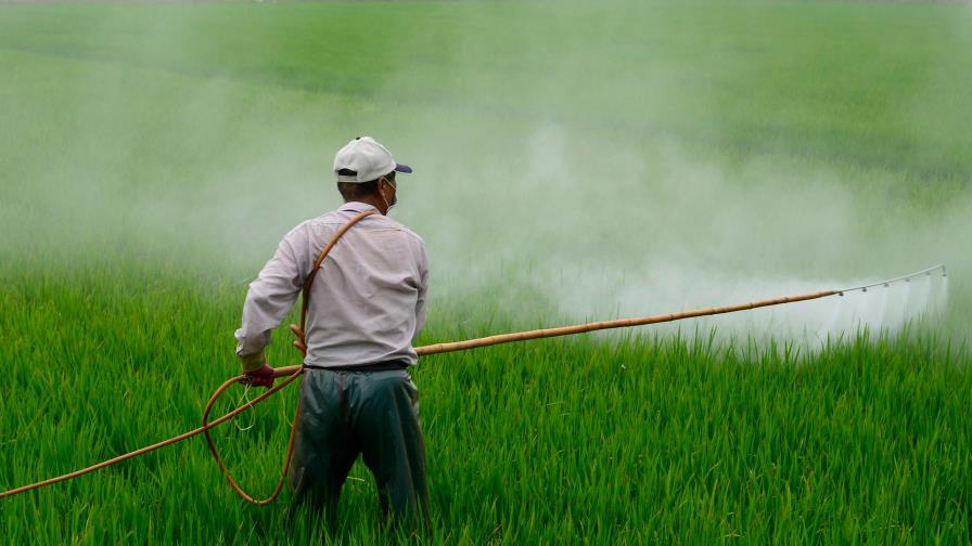 España, Colombia y otros 30 países confiscan 1,346 toneladas de pesticidas España, Colombia y otros 30 países confiscan 1,346 toneladas de pesticidas