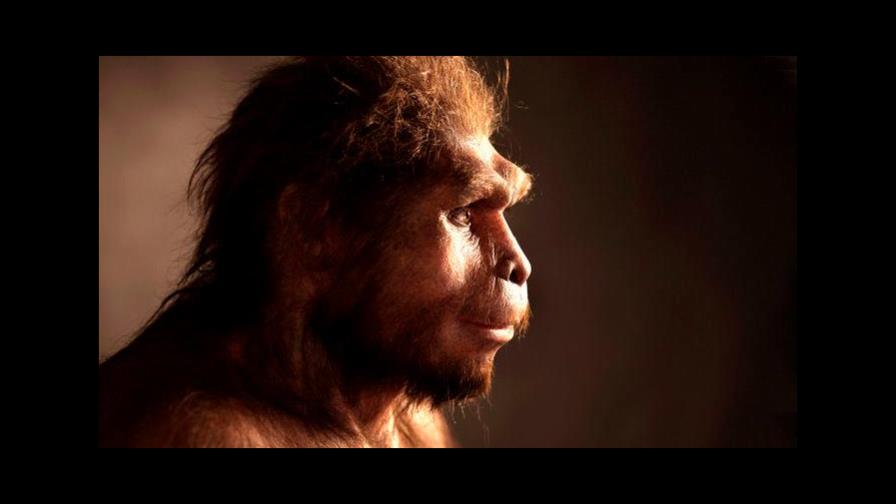 El Homo erectus habitó la Tierra por más de 1.5 millones de años