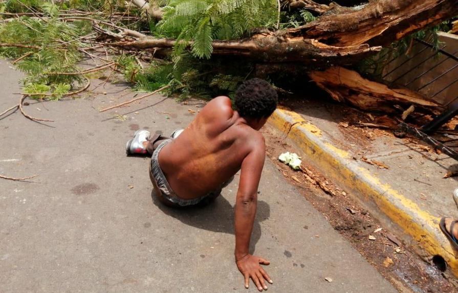 Indigente resulta herido tras caerle árbol encima en Bonao
