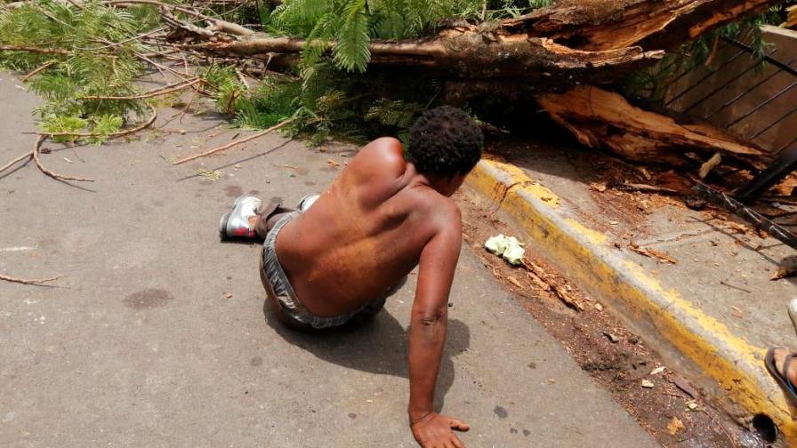 Indigente resulta herido tras caerle árbol encima en Bonao