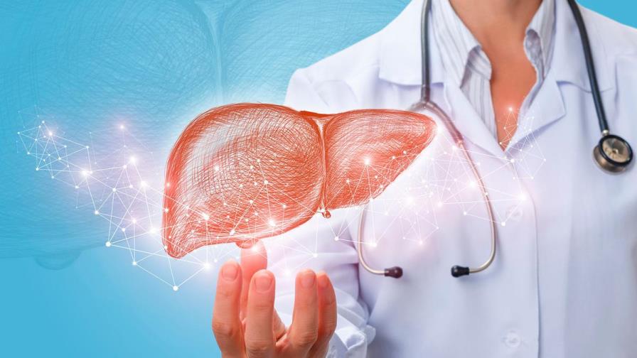Pacientes con hígado graso pueden desarrollar formas más graves de COVID-19