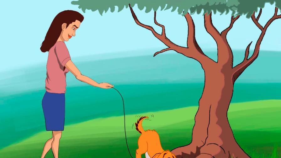 Paseando al perro