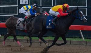 La Intensa sorprende en el V Centenario; pool paga más de 20 mil pesos