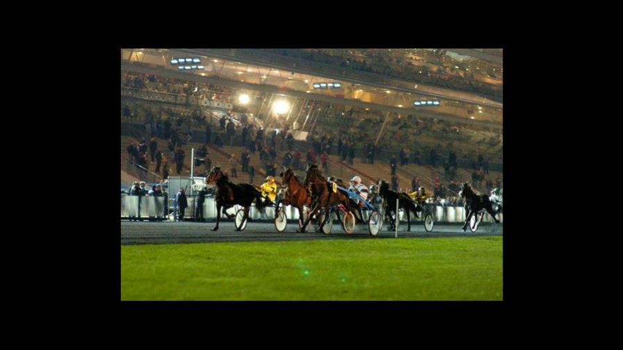 Cuatro ejemplares sobresalen en la “Quinté”  de este viernes