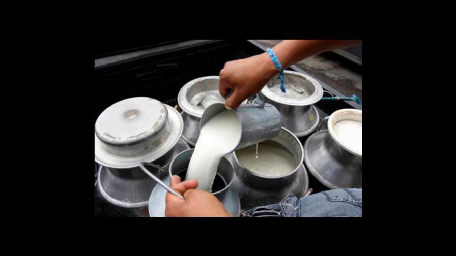 Ganaderos se reunirán hoy con ministro de Agricultura por precio de la leche