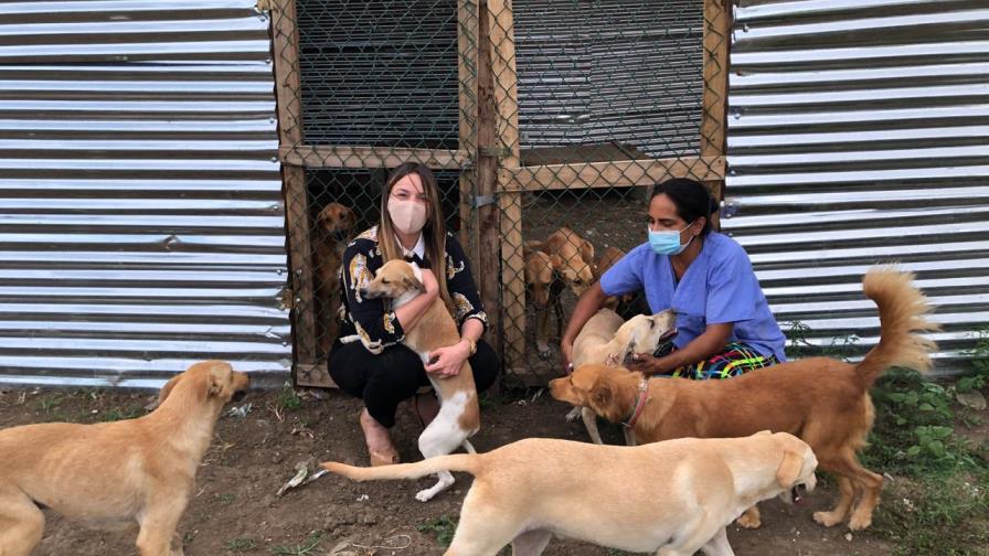 Hony Estrella a favor de refugio para animales rescatados