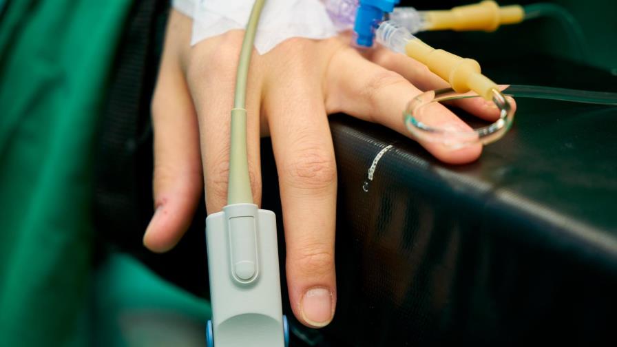 Falta de diagnóstico y vacunación aumentan riesgo de contraer leptospirosis Falta de diagnóstico y vacunación aumentan riesgo de contraer leptospirosis