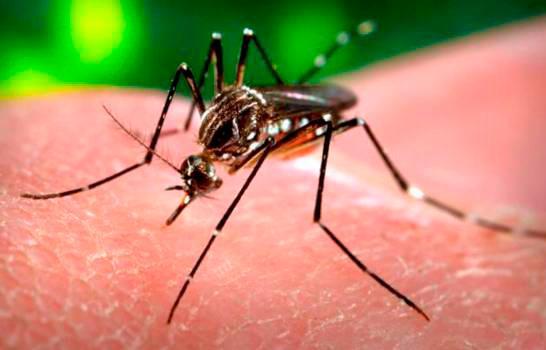 República Dominicana suma 10 muertes por dengue y 6,383 casos probables
