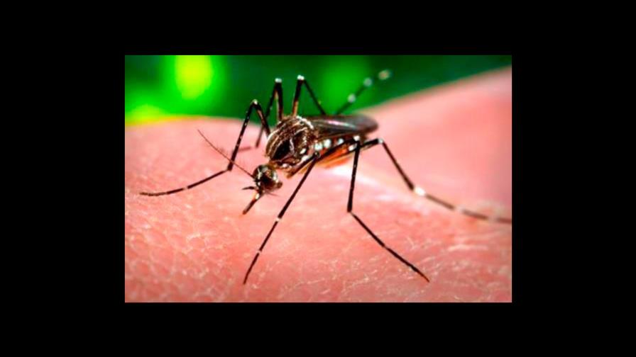 República Dominicana suma 10 muertes por dengue y 6,383 casos probables República Dominicana suma 10 muertes por dengue y 6,383 casos probables
