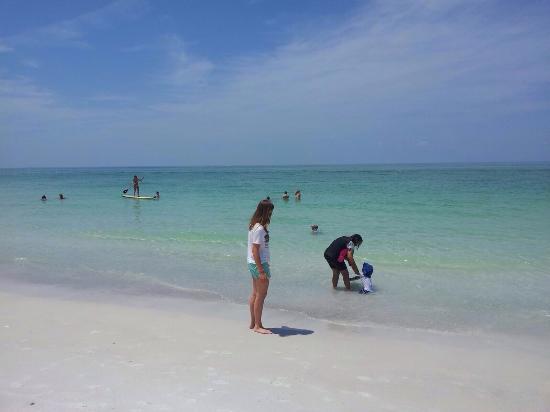 Muere una mujer en Florida tras contraer la bacteria come-carne en una playa