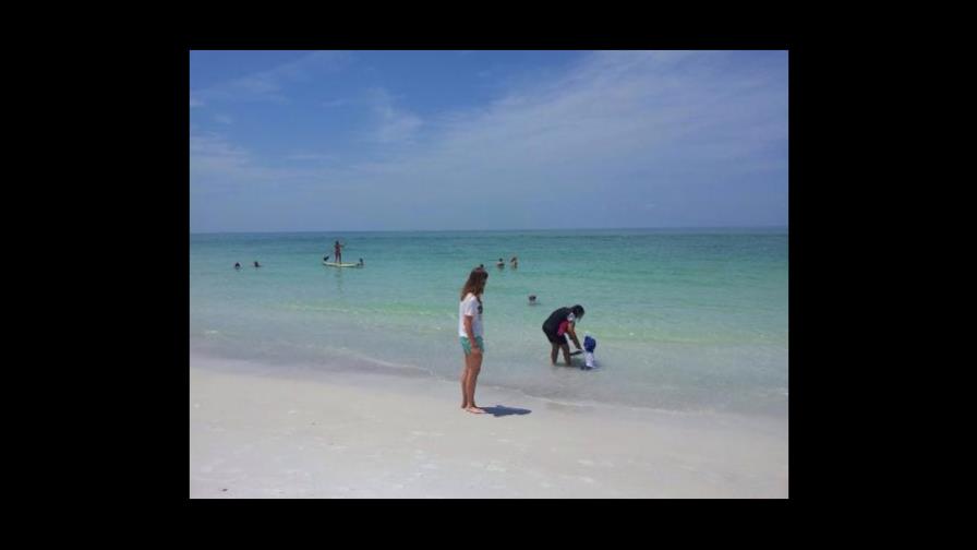 Muere una mujer en Florida tras contraer la bacteria come-carne en una playa