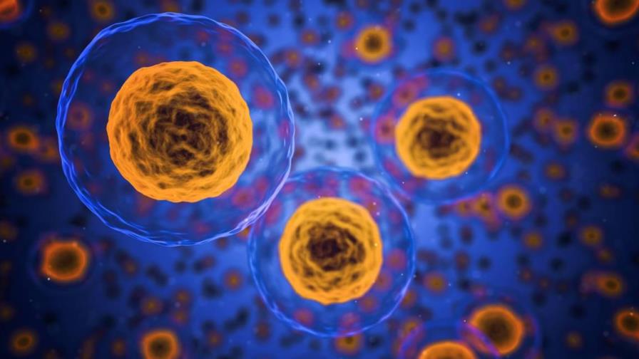 El cáncer será tratado de “3 a 5 años” con la tecnología base de vacunas contra el covid-19, según BioNTech