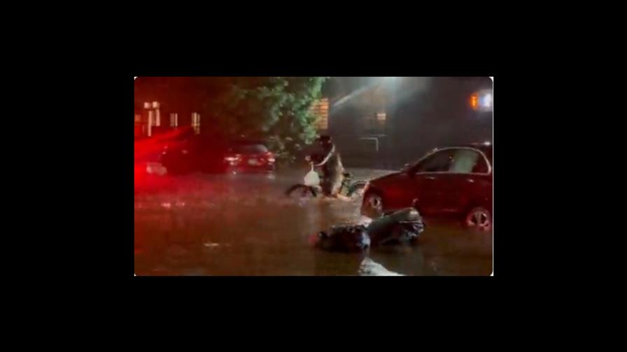 VIDEO | Buscan identificar repartidor de comida hispano que desafió huracán para seguir trabajando VIDEO | Buscan identificar repartidor de comida hispano que desafió huracán para seguir trabajando