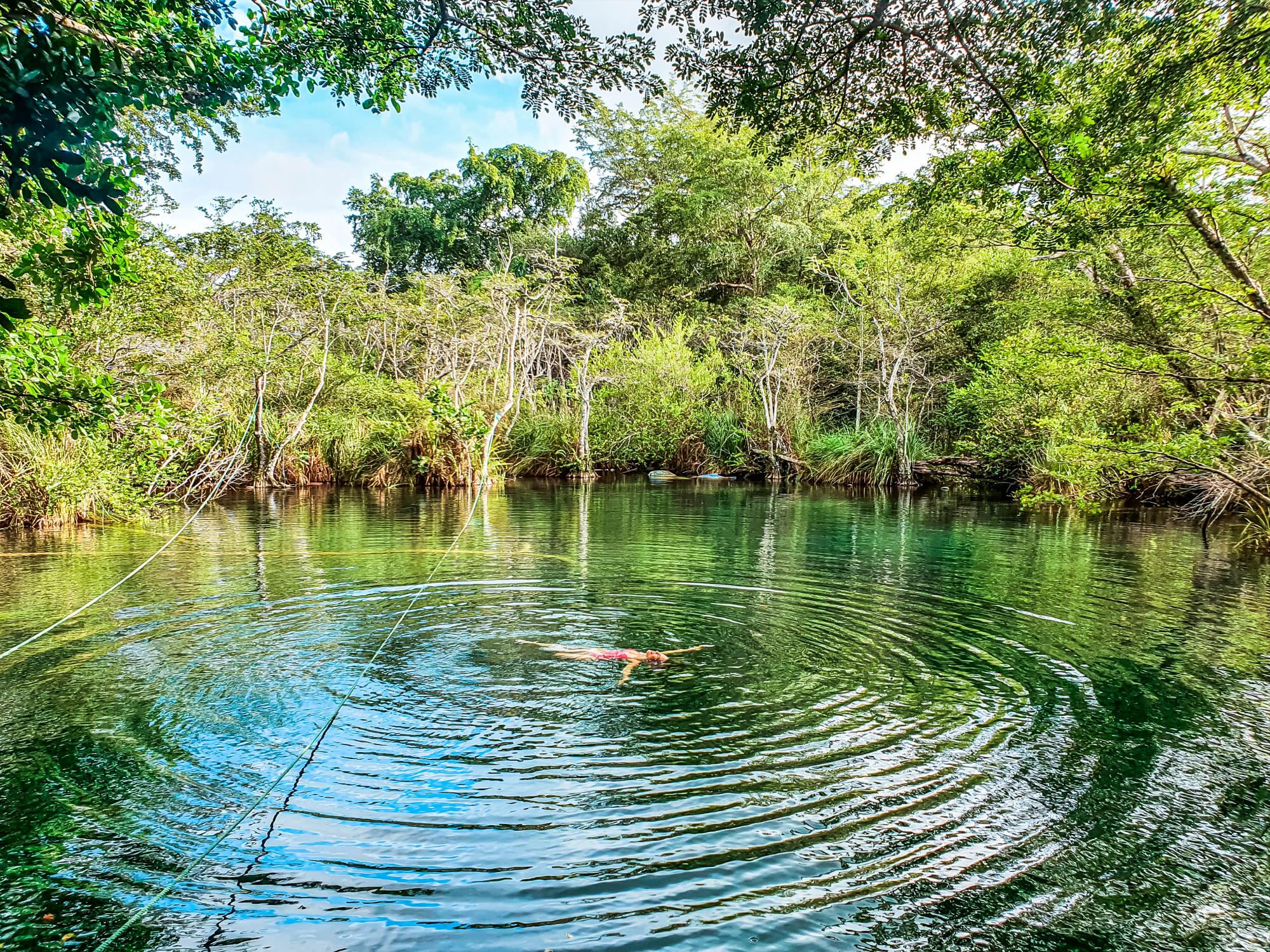 Ríos, ojos de agua y cenotes para visitar en RD - Diario Libre