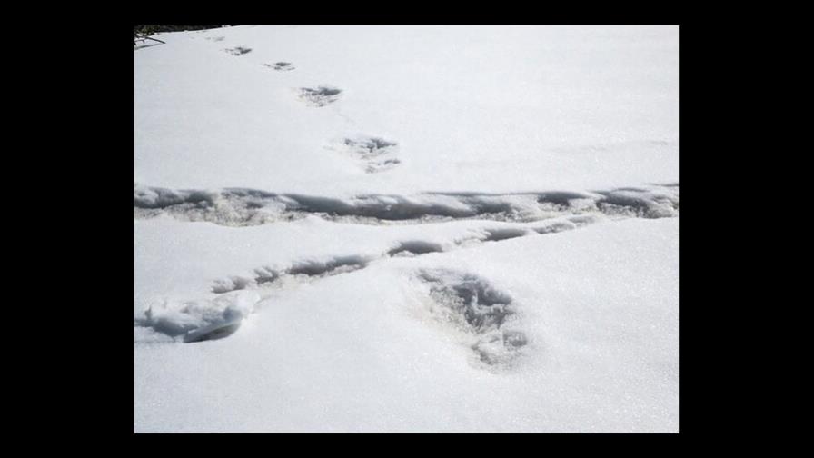 Nepal descarta el descubrimiento de “huellas” del Yeti