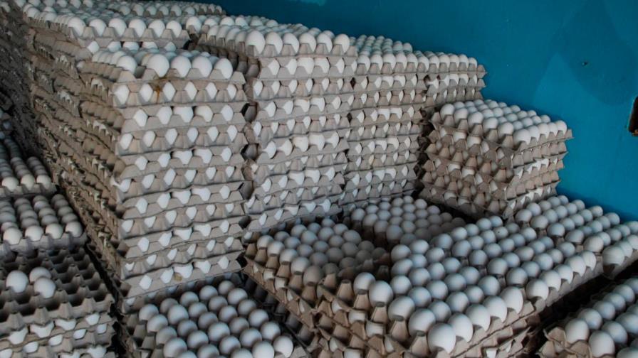 Garantizan abastecimiento de huevos durante cuarentena Garantizan abastecimiento de huevos durante cuarentena