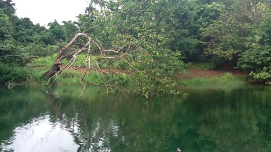 Advierten sobre riesgos de vertedero próximo a los humedales del río Ozama