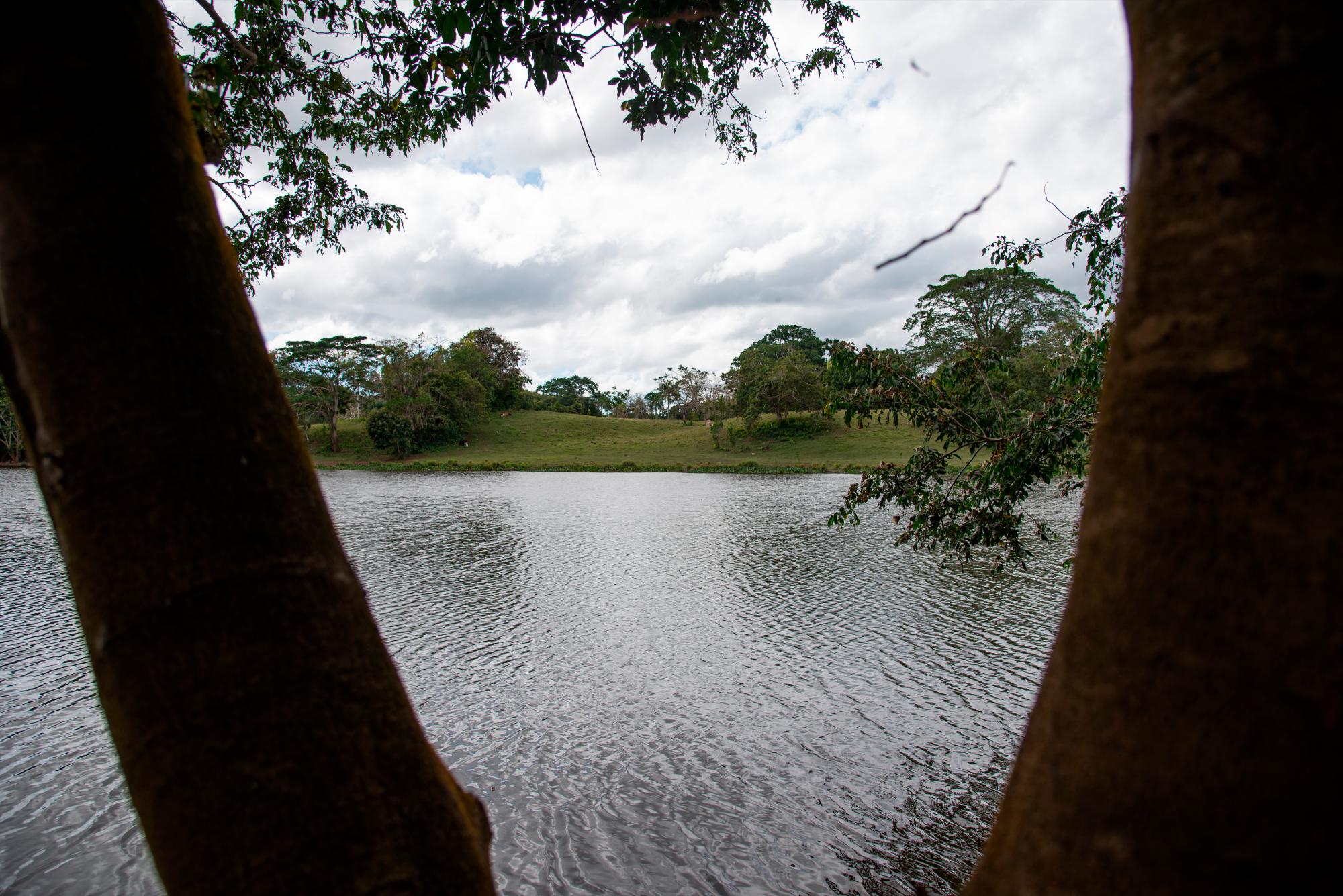 La belleza del lugar impacta.