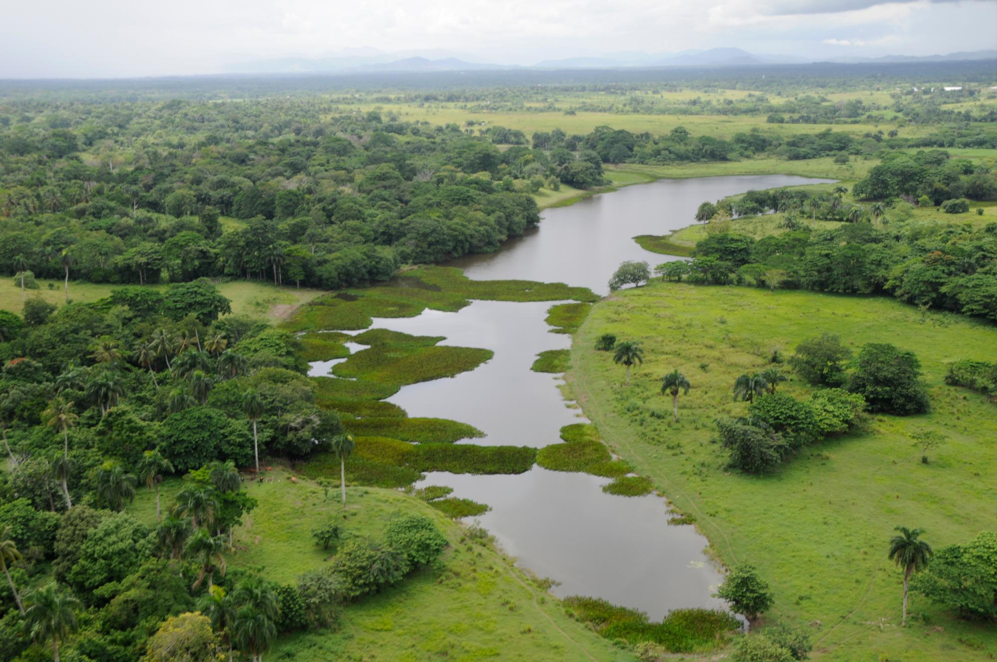 En Santo Domingo Norte hay humedales manejados por Medio Ambiente( Fuente Externa 