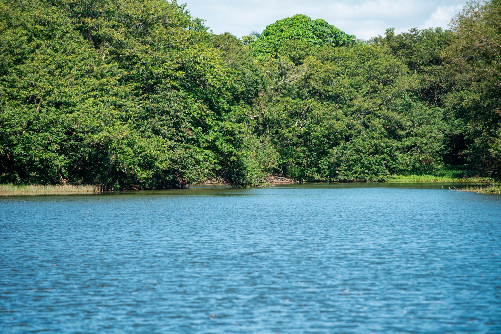 Uno de los humedales