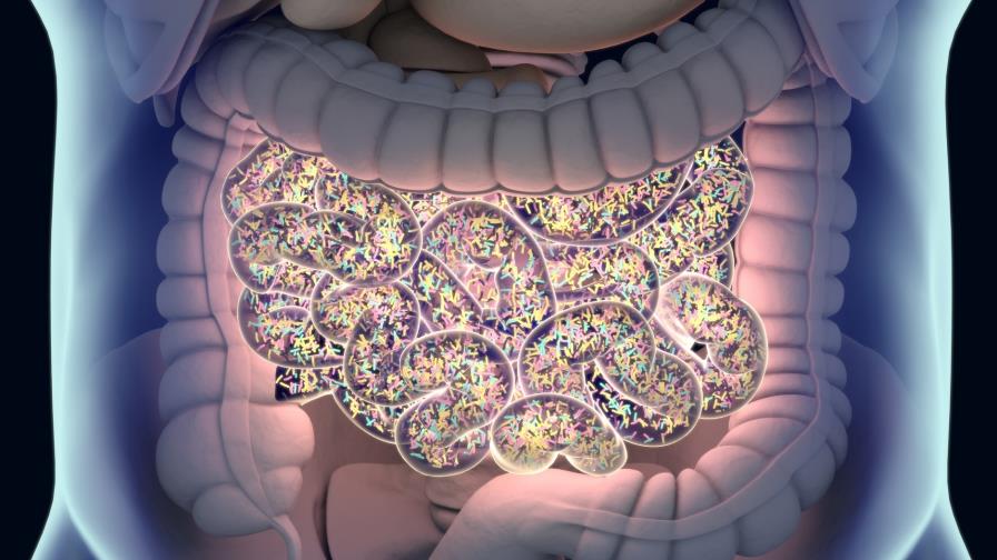 Estudio asocia el consumo de la carne roja con el desarrollo de enfermedades cardiovasculares 