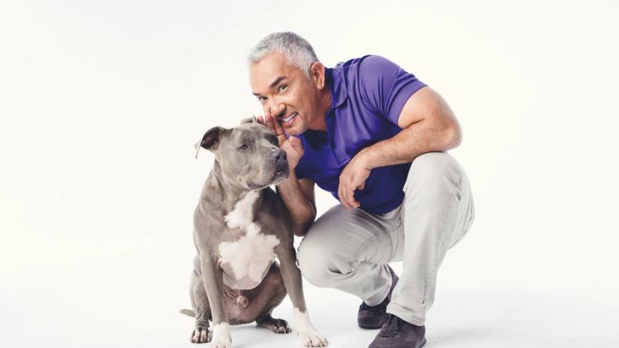 “El encantador de perros” llega para hechizar a tu mascota