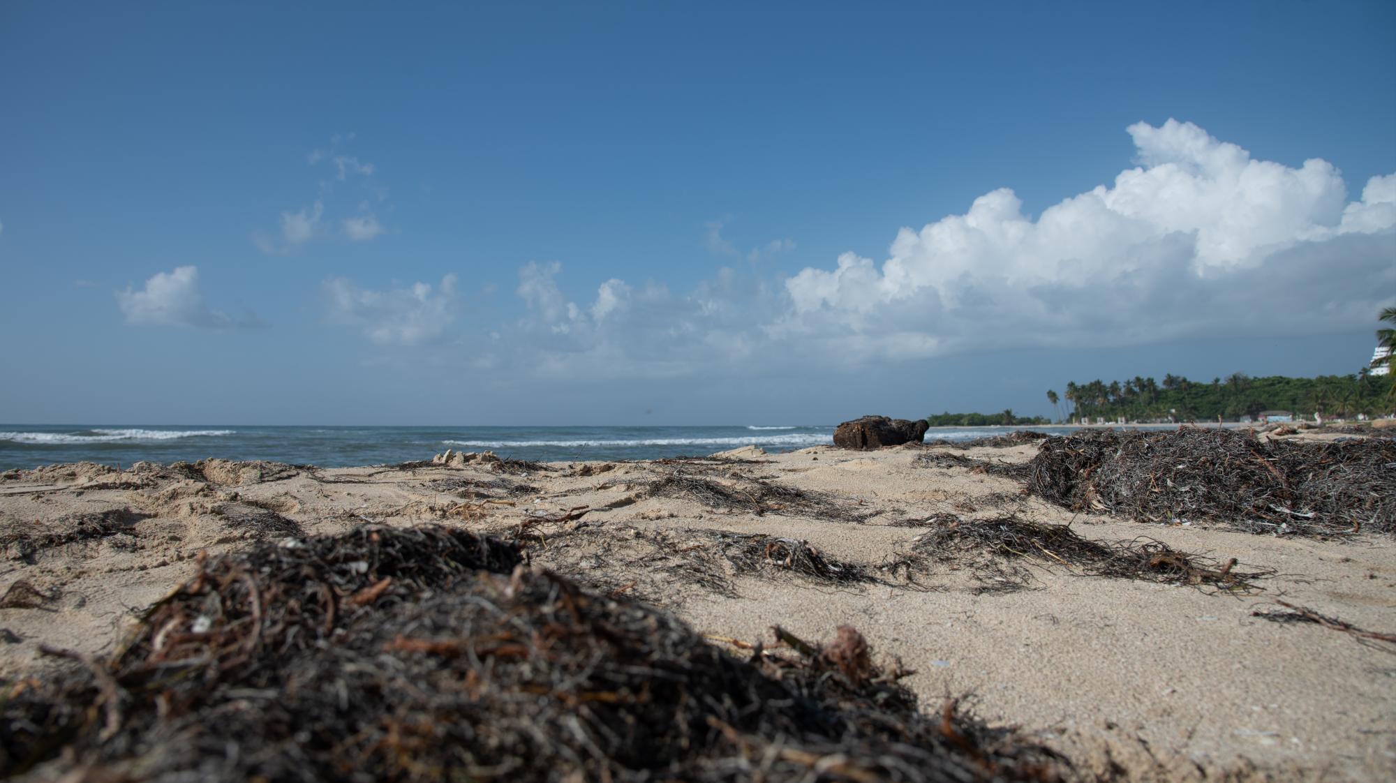 Sobre los análisis, el titular del Inapa, Wellington Arnaud, indicó: “Tomamos ocho muestras, cuatro superficiales y cuatro de fondo. Hasta el momento, las ocho muestras dan coliformes totales menores de 300 y la normativa para aguas de uso recreativo de bañistas, buceo, entre otros, permite hasta 1000”. (Fotos: Dania Acevedo)