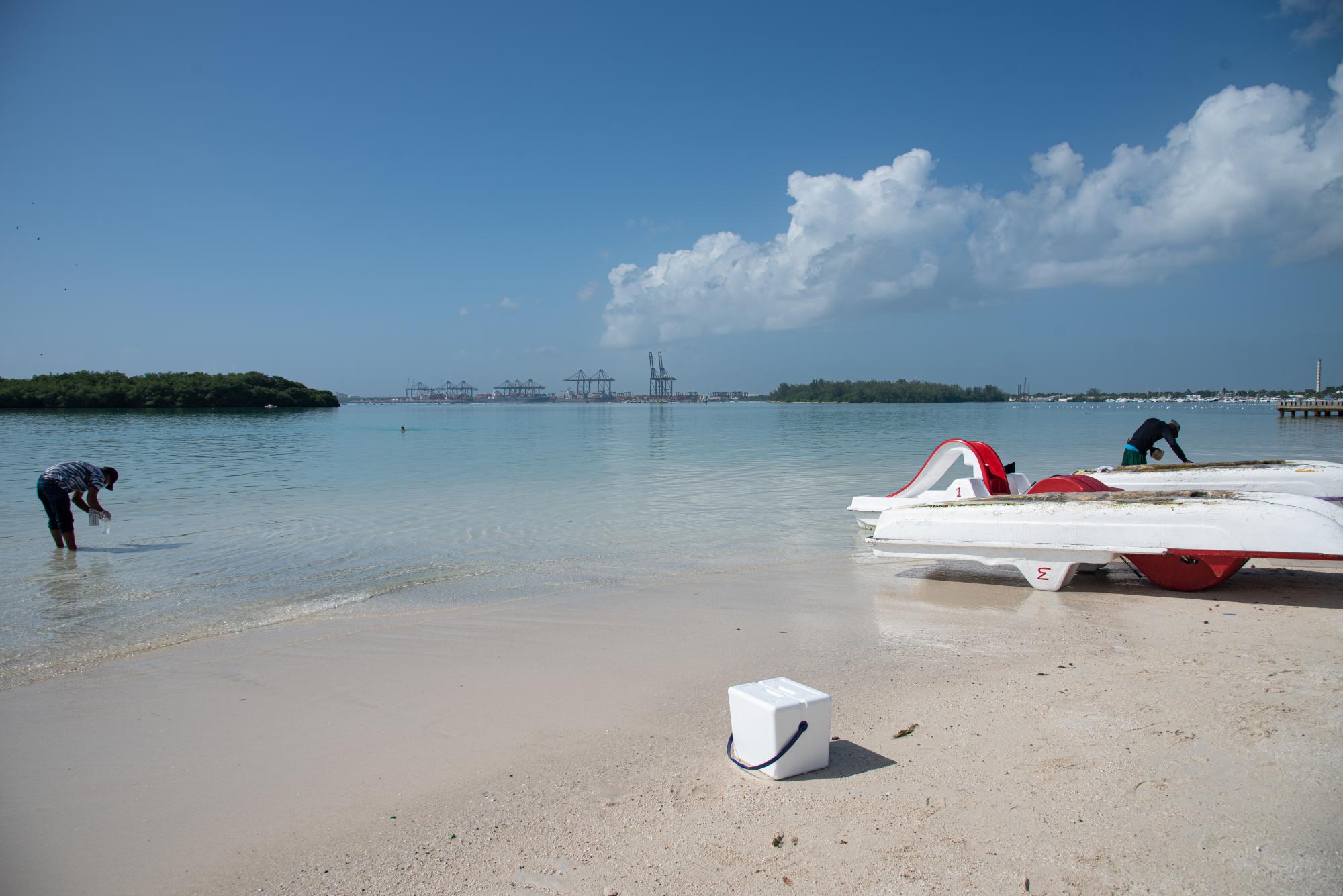 El informe precisa que las muestras fueron tomadas en el área costera de la playa por los frentes de los hoteles Hamaca, Whala, Plaza de la Fritura, y la Playa Andrés, en la superficie y a niveles profundos. (Fotos: Dania Acevedo)