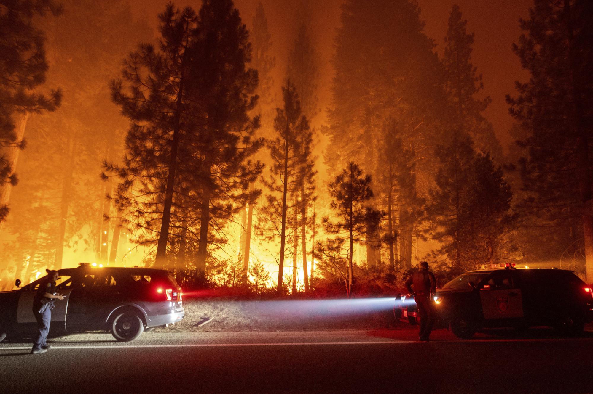 Los oficiales de policía se detienen para revisar los árboles en llamas a lo largo de la autopista 50 en el Bosque Nacional Eldorado, California, el martes 31 de agosto de 2021. (Foto AP / Noah Berger)