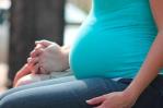 Una de cada cinco adolescentes ha quedado embarazada en el país