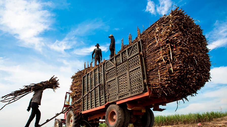 Diputados indagan uso de  US$8 millones en ingenios 