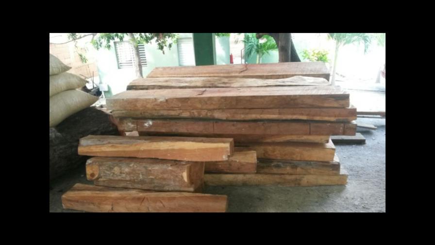 Caoba tiene demanda insatisfecha de 4 millones de metros cúbicos