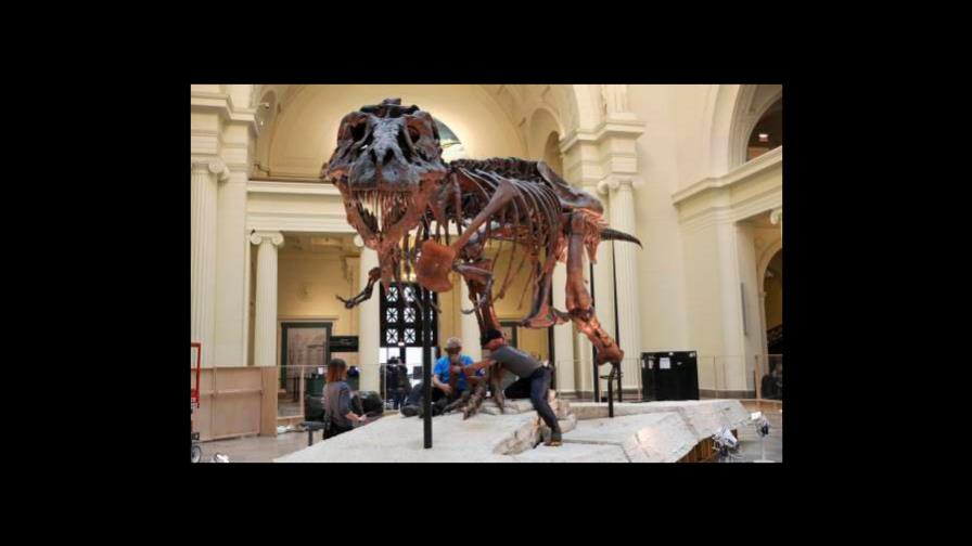 Cómo el T-Rex podía morder con tanta fortaleza