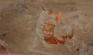 El Caribe comenzó a poblarse hace 8,000 años, según estudio