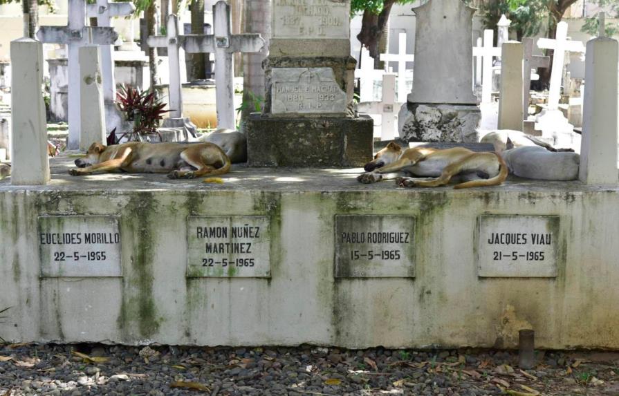 Denuncian profanación de tumbas y robo de cuatro cadáveres en cementerio de Valverde