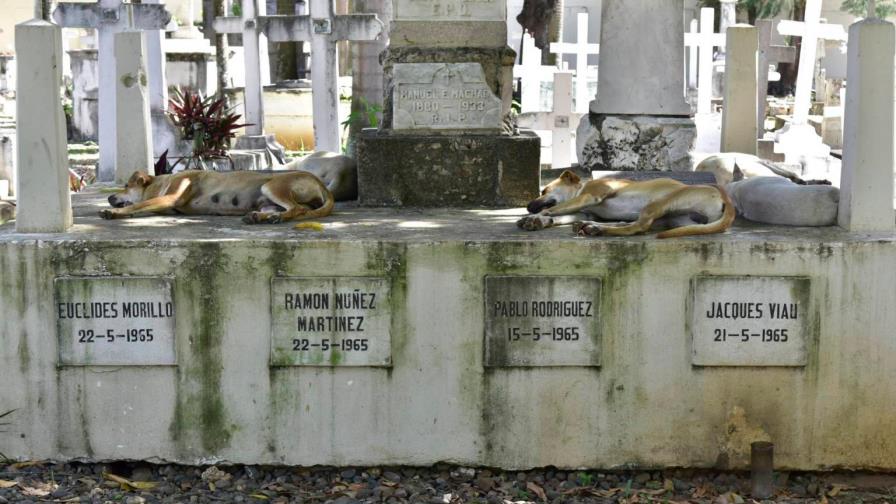 Denuncian profanación de tumbas y robo de cuatro cadáveres en cementerio de Valverde