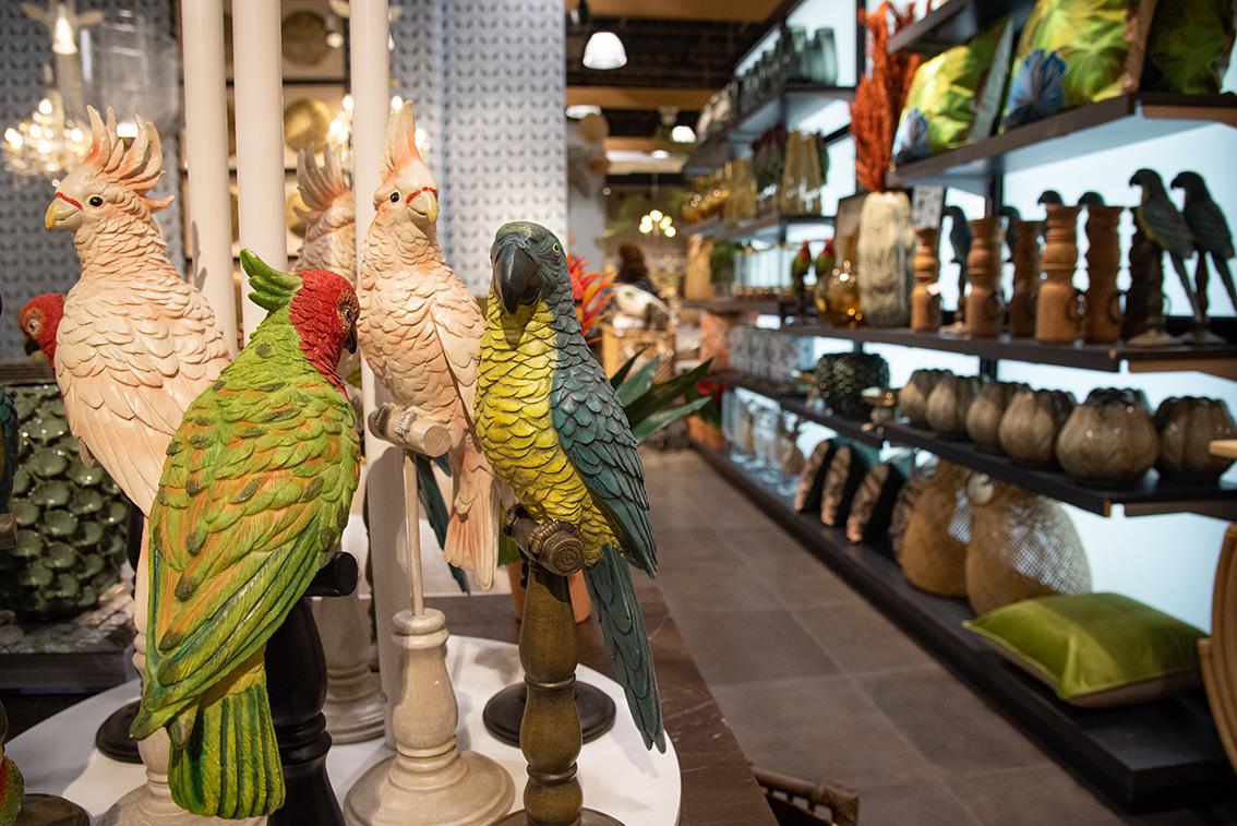 Detalles para armar tu espacio tropical.