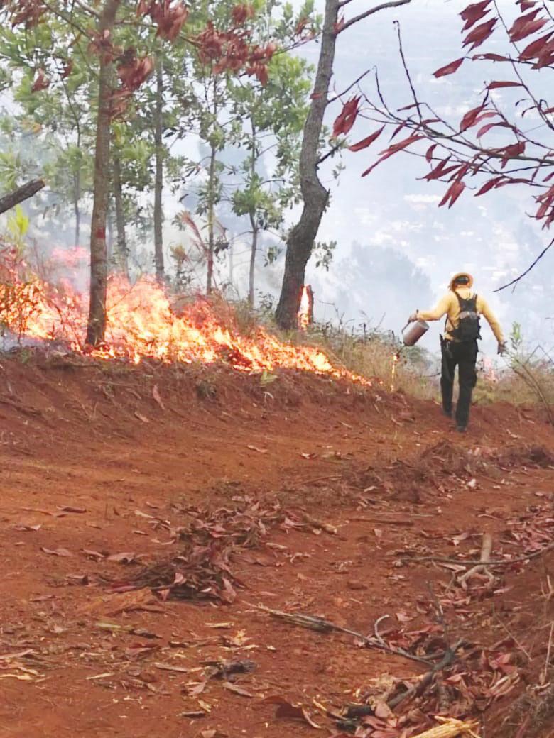 Incendios forestales se intensifican en el país; van más de 40 este año 