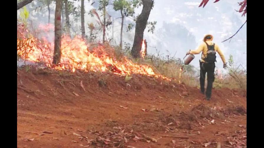 Incendios forestales se intensifican en el país; van más de 40 este año 
