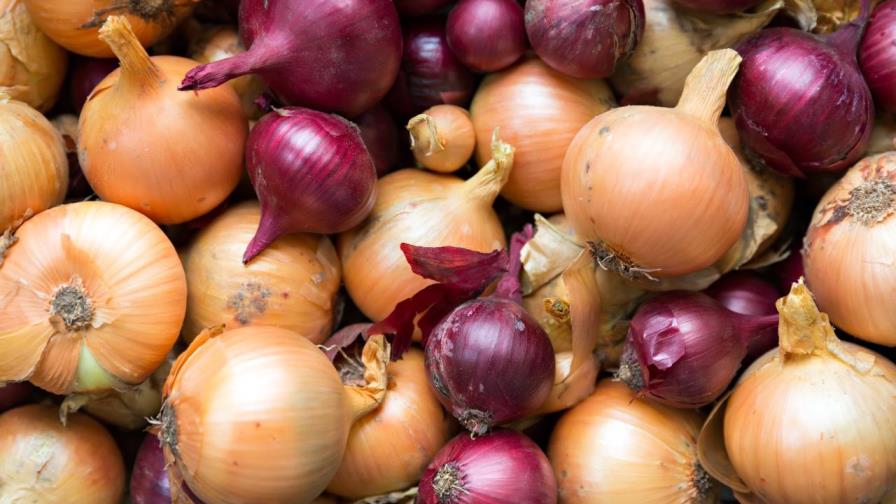 Comerciantes piden intervención de Gobierno para evitar alza en precio de la cebolla Comerciantes piden intervención de Gobierno para evitar alza en precio de la cebolla