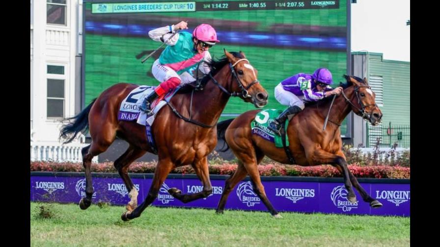 Tarnawa, Adayar y Hurrican Lane favoritos para ganar L Arc De Triomphe