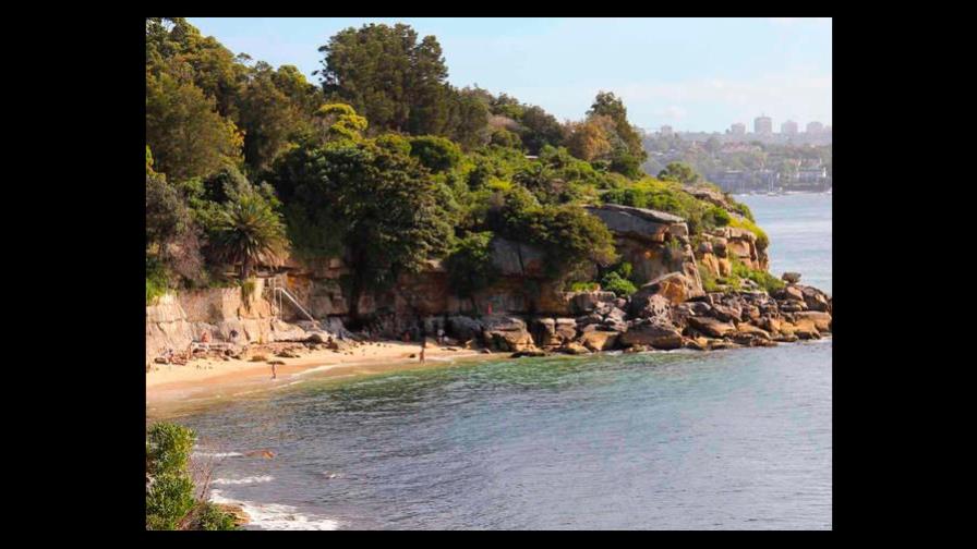 Nudistas australianos rescatados en el bosque tras huir de un ciervo 