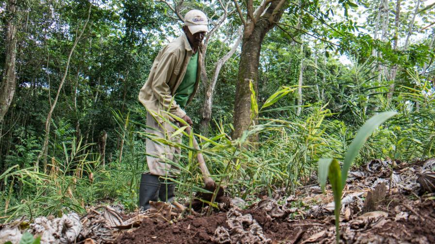 Sectores con alta generación de empleos pagan salarios más bajos Sectores con alta generación de empleos pagan salarios más bajos