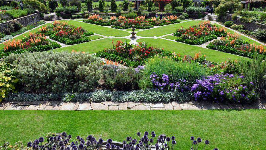 Las plantas saben si sus vecinas son de la familia