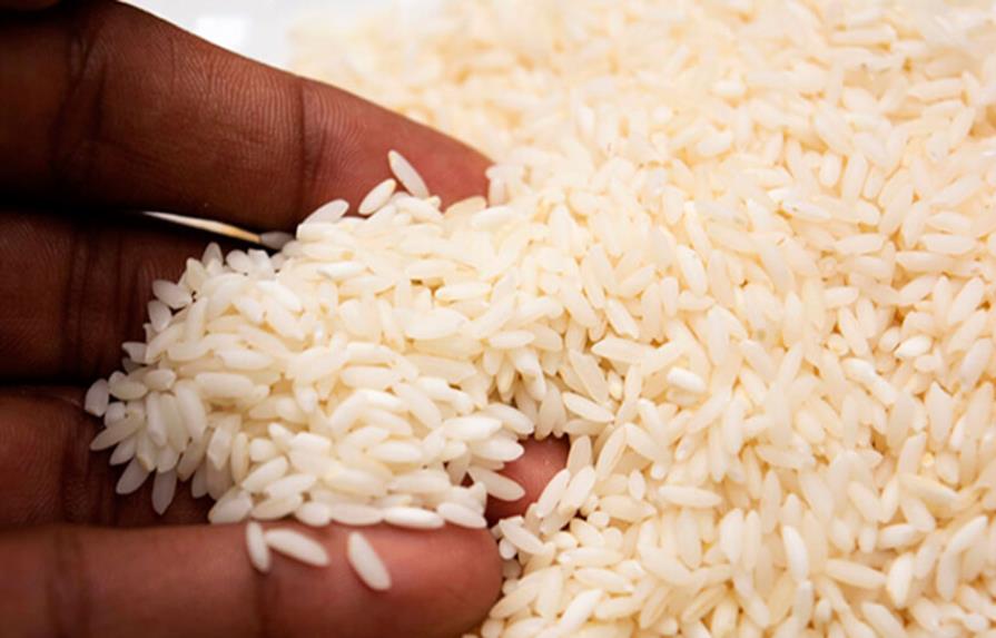 El aumento de los niveles de CO2 reduce el valor nutricional del arroz 
