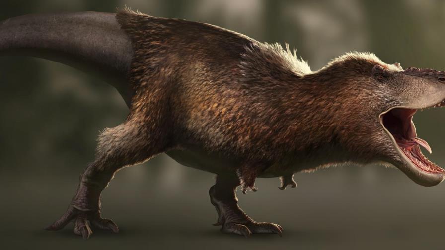 Las aves terrestres lograron sobrevivir a la extinción de los dinosaurios 