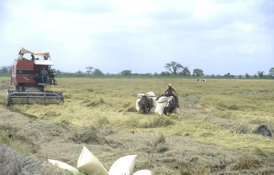 Procompetencia advierte por anuncio de aumento del precio del arroz