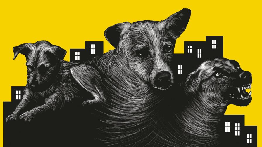 Mi otro índice y el pulgar Mi otro índice y el pulgar