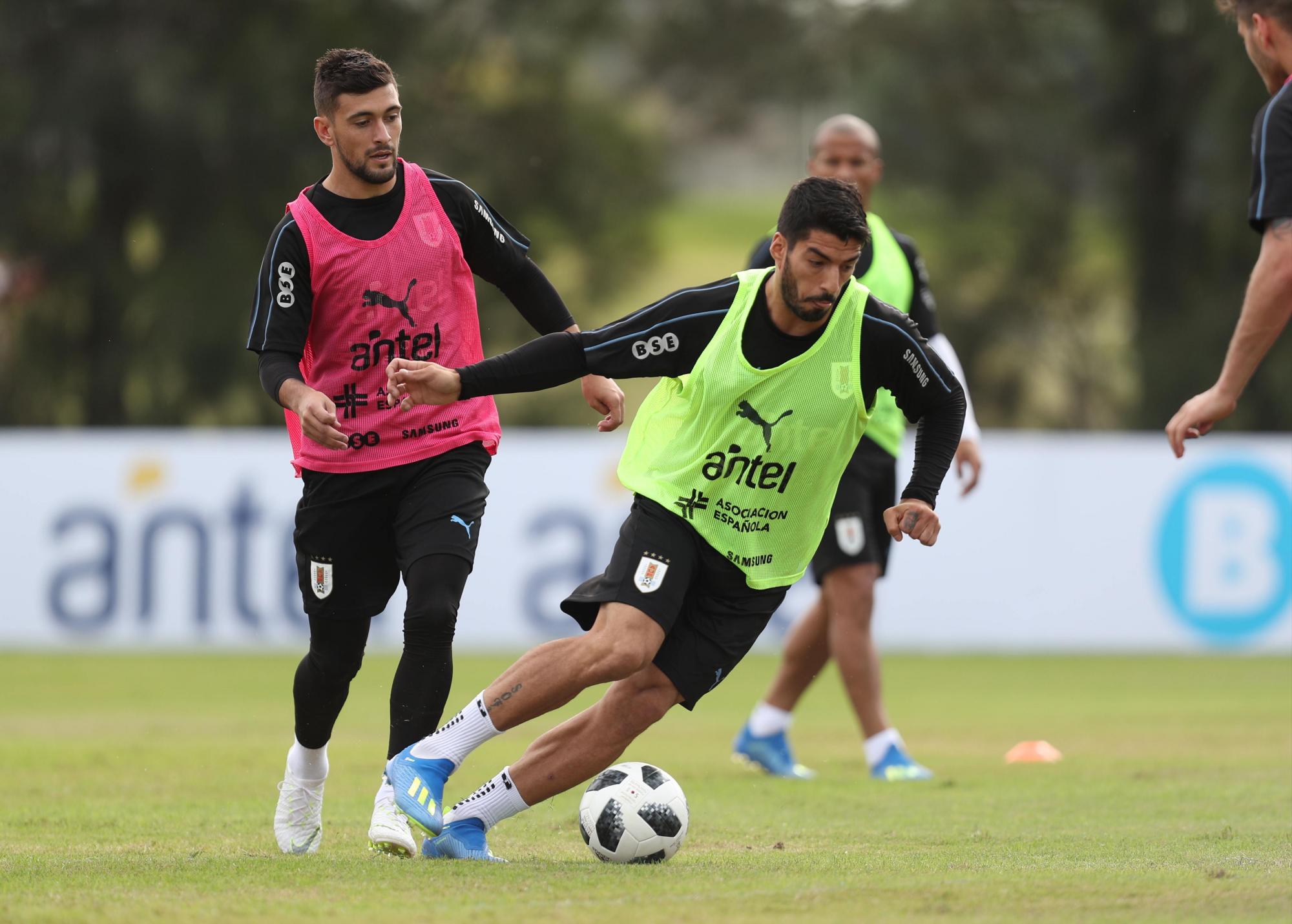 Plantel de jugadores de la Selección de Uruguay en Rusia 2018 - El Diario NY