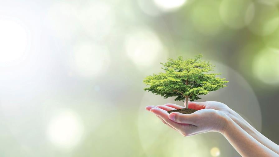 Proyectos eco-amigables Proyectos eco-amigables